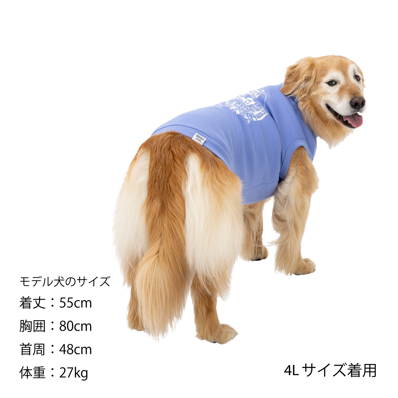 Chi-bee CARDBORD KNIT | WEAR | 犬服 MANDARINE BROTHERS マンダリン