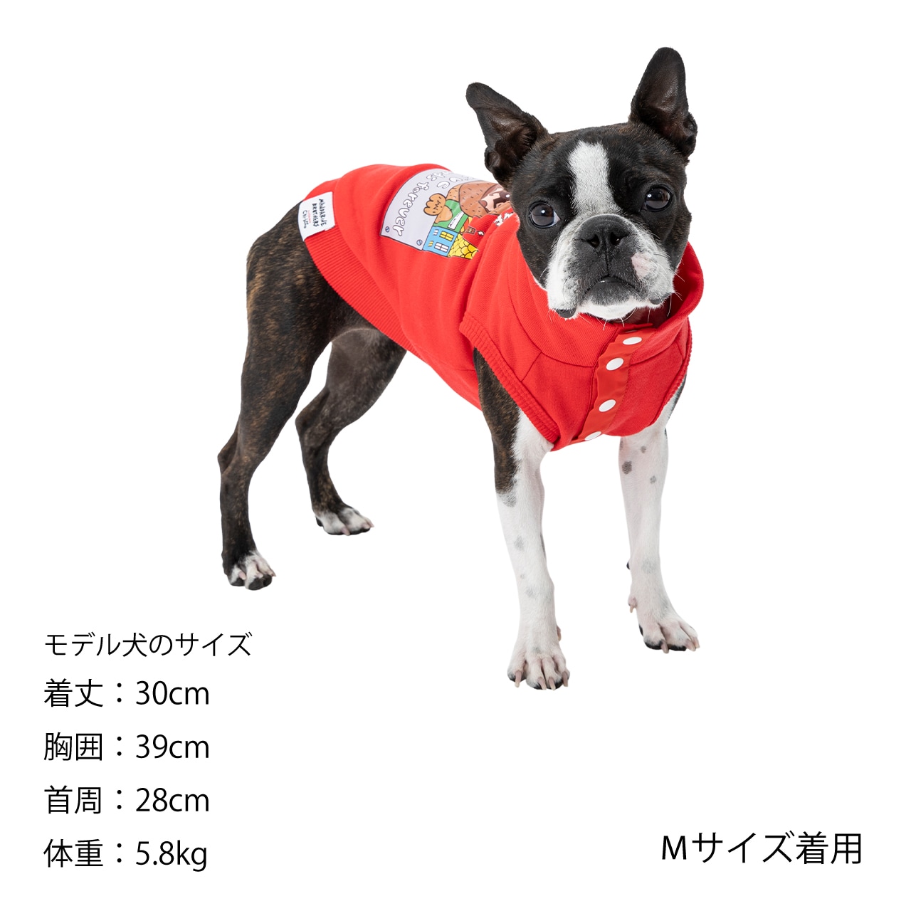 Thankyou☆骨董犬服ブランド出品中様 Thankyou☆骨董犬服ブランド出品