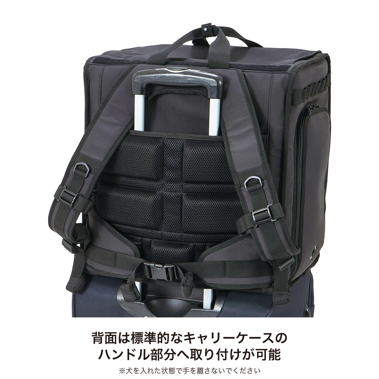 DAILY EXPANDABLE BACKPACK | CARRY BAG | 犬服 MANDARINE BROTHERS