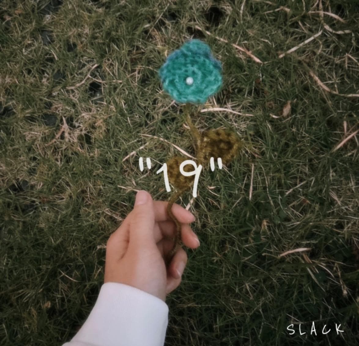 SLACK / 19 | CD,日本,メロコア / スカパンク /レゲエロック,新品