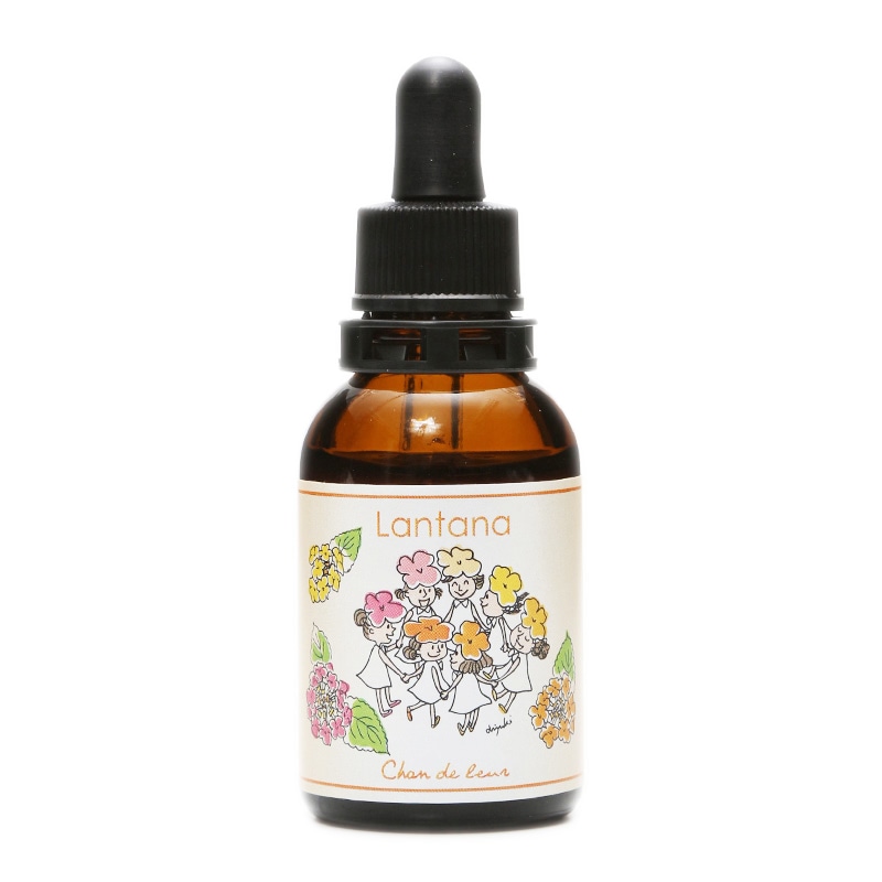 ワンサイデッドウィンターグリーン[One-Sided Wintergreen] | ブランド