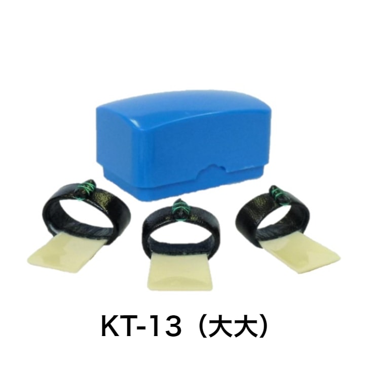 ゼンオン 箏爪（学校教育用） プラスチックケース入り 箏爪セット 琴爪