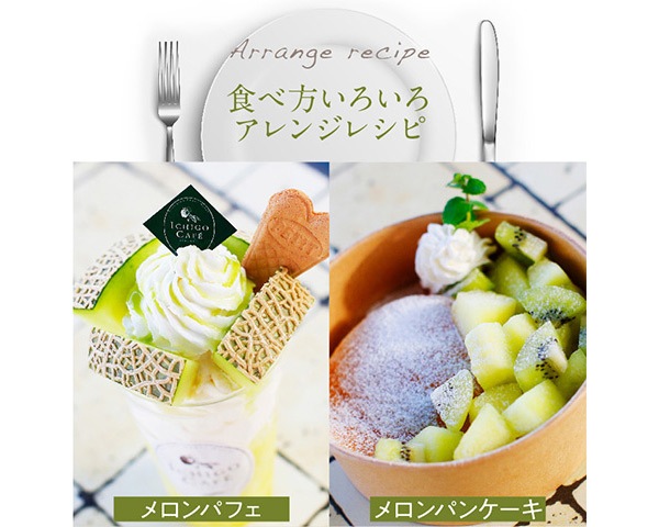 マスクメロン 2個入