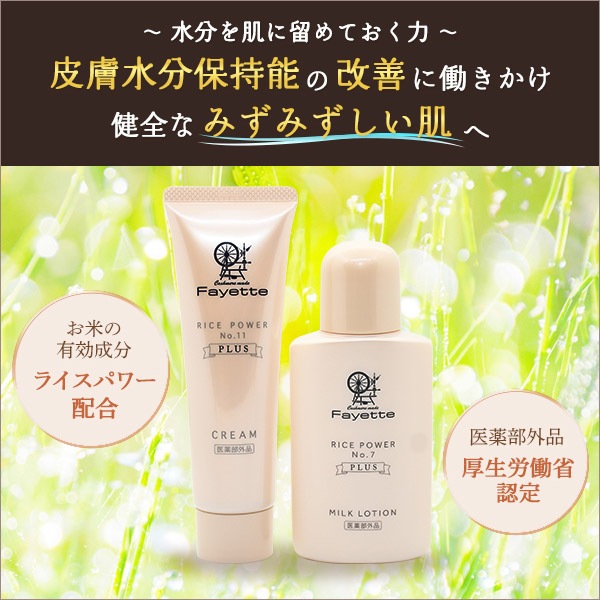 3_000000000401.jpg?1698045974