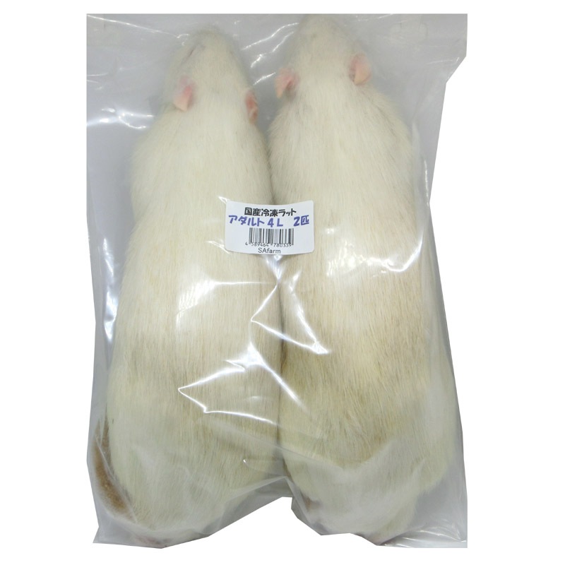 冷凍ラット アダルト4L 2匹 RA4L 国産 SAafrm | 冷凍ラット,アダルト