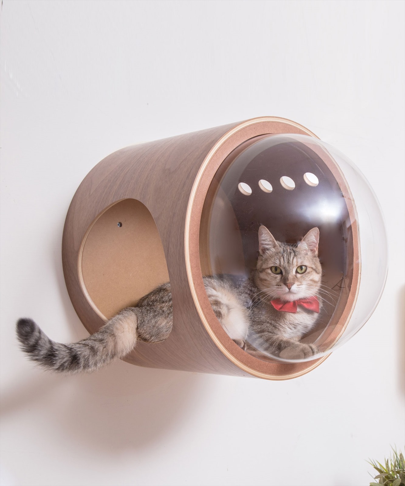 MYZOO〈マイズー〉宇宙船ガンマ ネコハウス（左開き・ウォールナット