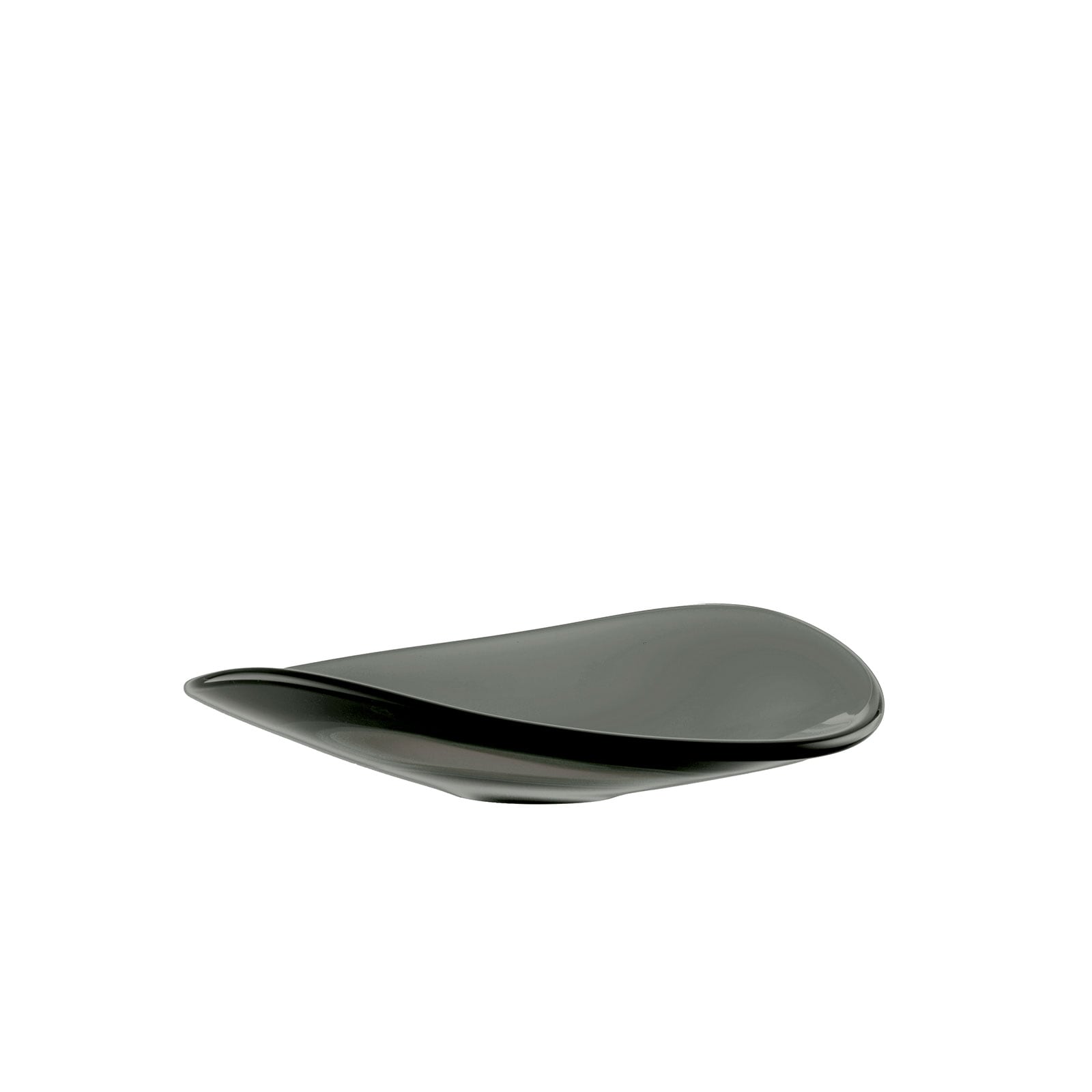 トゥッティー：プレート (L) web 限定カラー | WEB限定 | Sghr