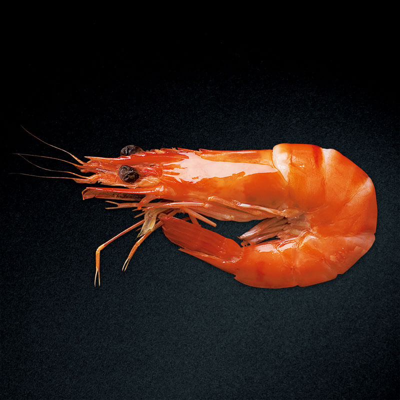 焼き海老 BT60 25尾入×10セット×2｜飲食業務用仕入れ注文専門