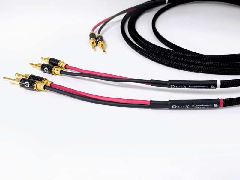 WIREWORLD GOLD Starlight 10 (GSV10RCA) デジタルコアキュシャル