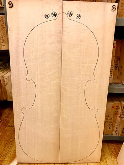 チェロ スプルース／ハーゼル（ベアクロー）表板材 | バイオリン