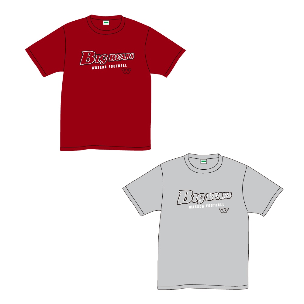 早稲田大学ビックベアーズ コットンTシャツ