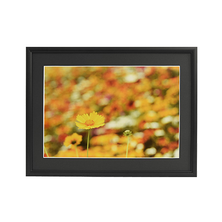 アルミ額縁 A33 全紙 ブラック: フレーム・額縁 | フジフイルムモール