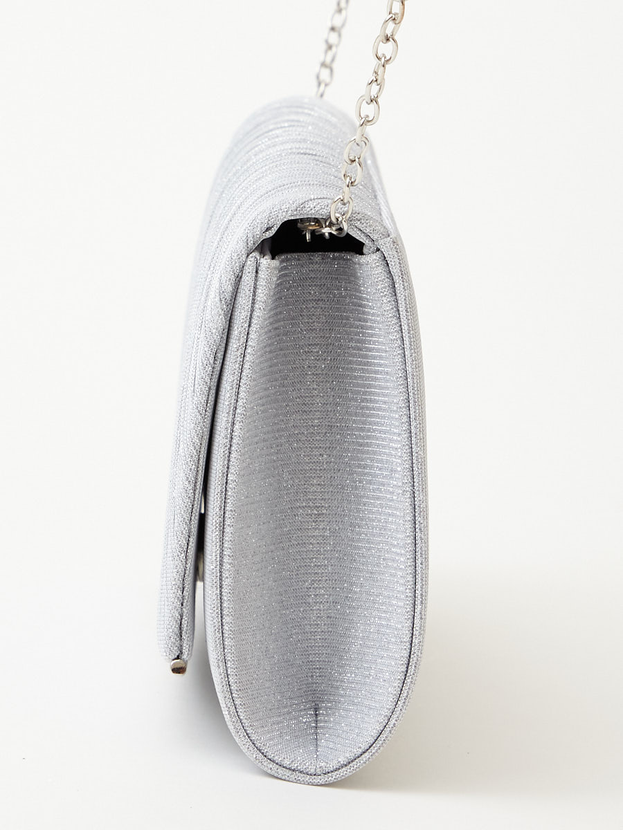 ラメプリーツバッグ＆袱紗セット(FREE シルバー): AIMER | エメ