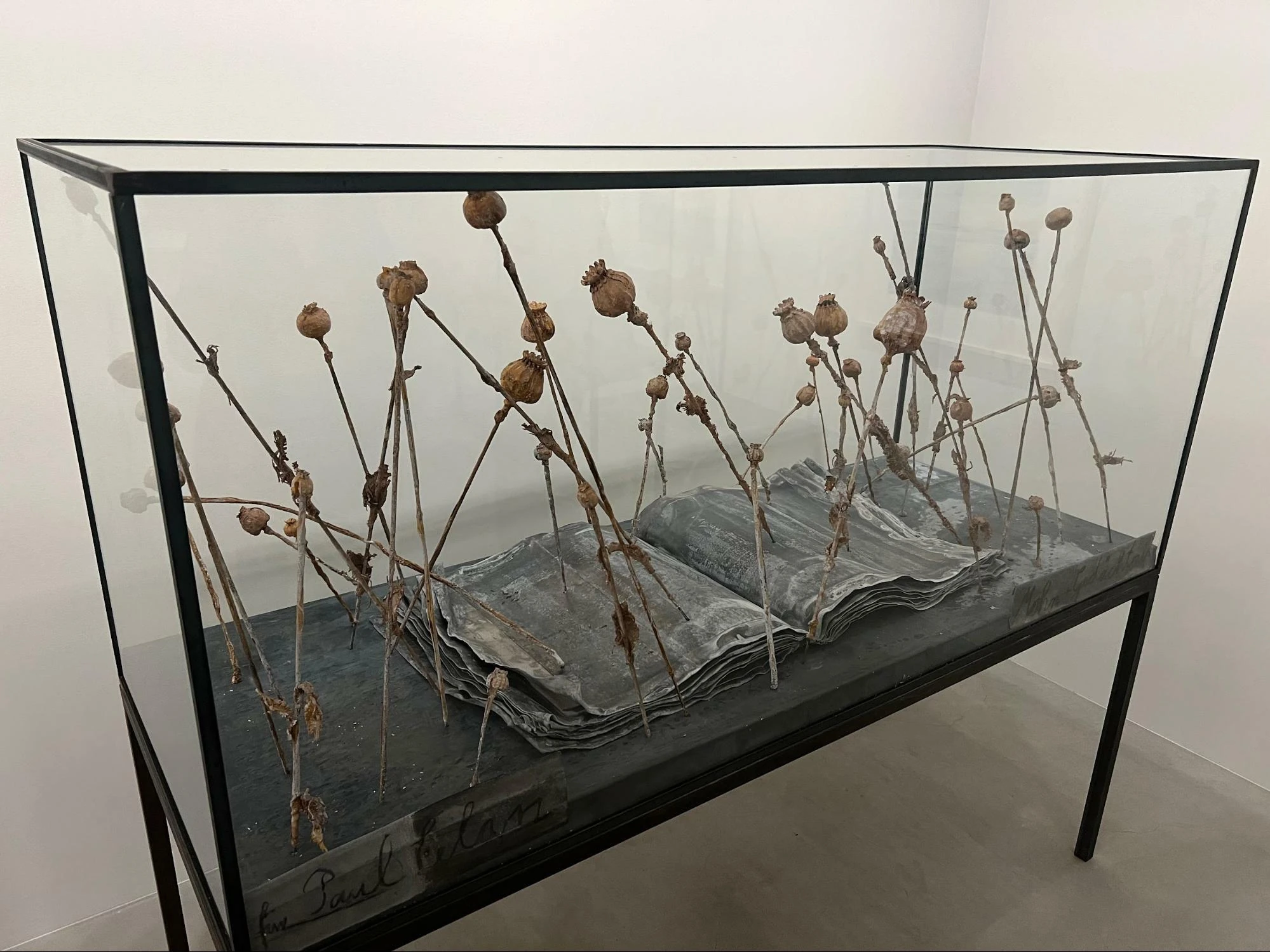 アンゼルム・キーファーの個展が25年ぶりに開催、6月29日まで北青山で