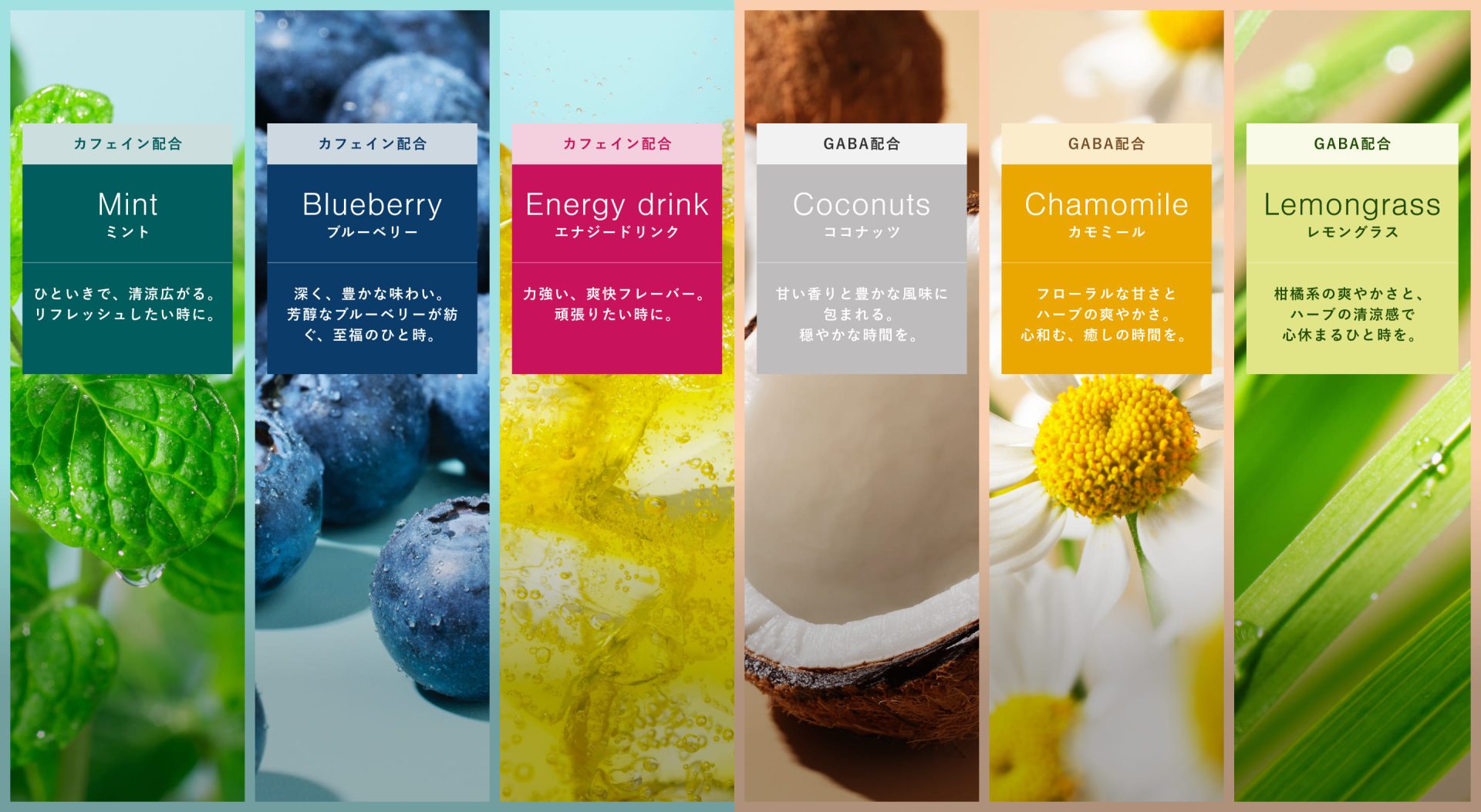 ストンエス☆stons☆ブルーベリー&ココナッツ&ミント&エナジードリンク