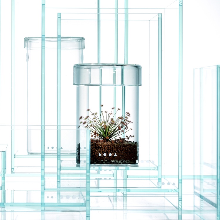 ガラスケースとLEDで植物を愛でる。未来のグリーンショップ〈ADA LAB