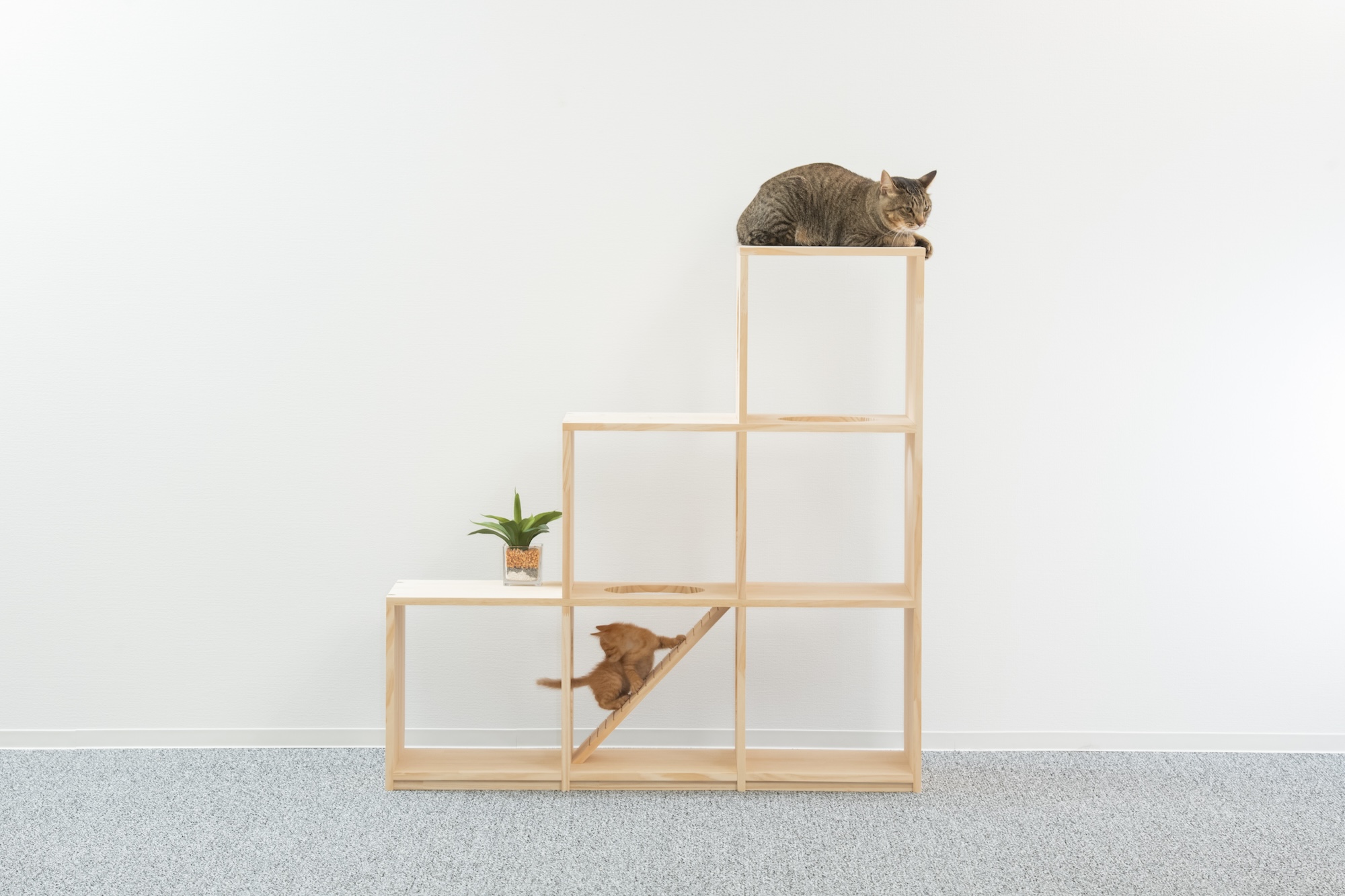 国内製造】高さがある木製の据え置き型キャットタワーのランキングをご