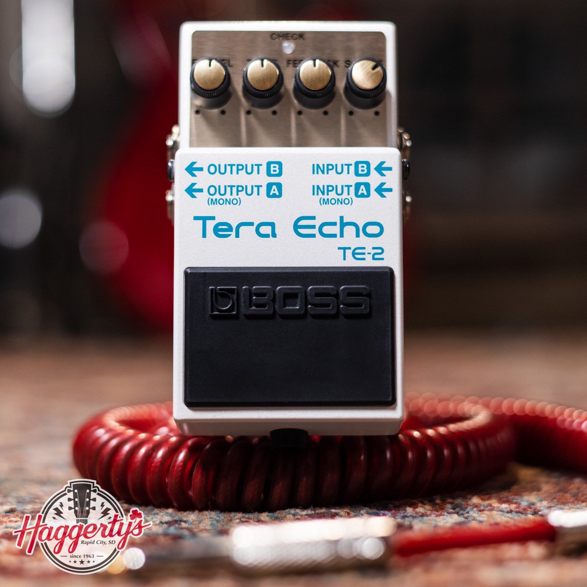 Boss TE-2 Tera Echo Guitar Effects Pedal - 761294503294