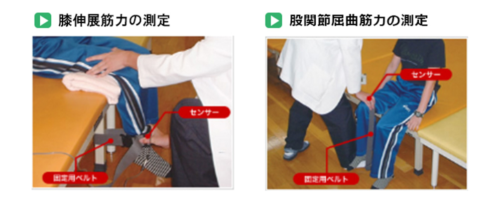 筋力計 ミュータス F-1 (筋力計測) - メド・インテックエージェンシー