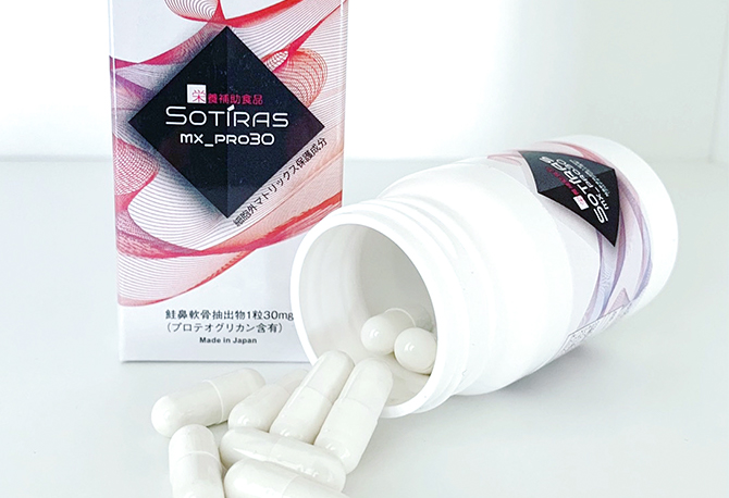 構造医学の原理（基礎編）整骨院 整体 カイロプラクティック 構造医学