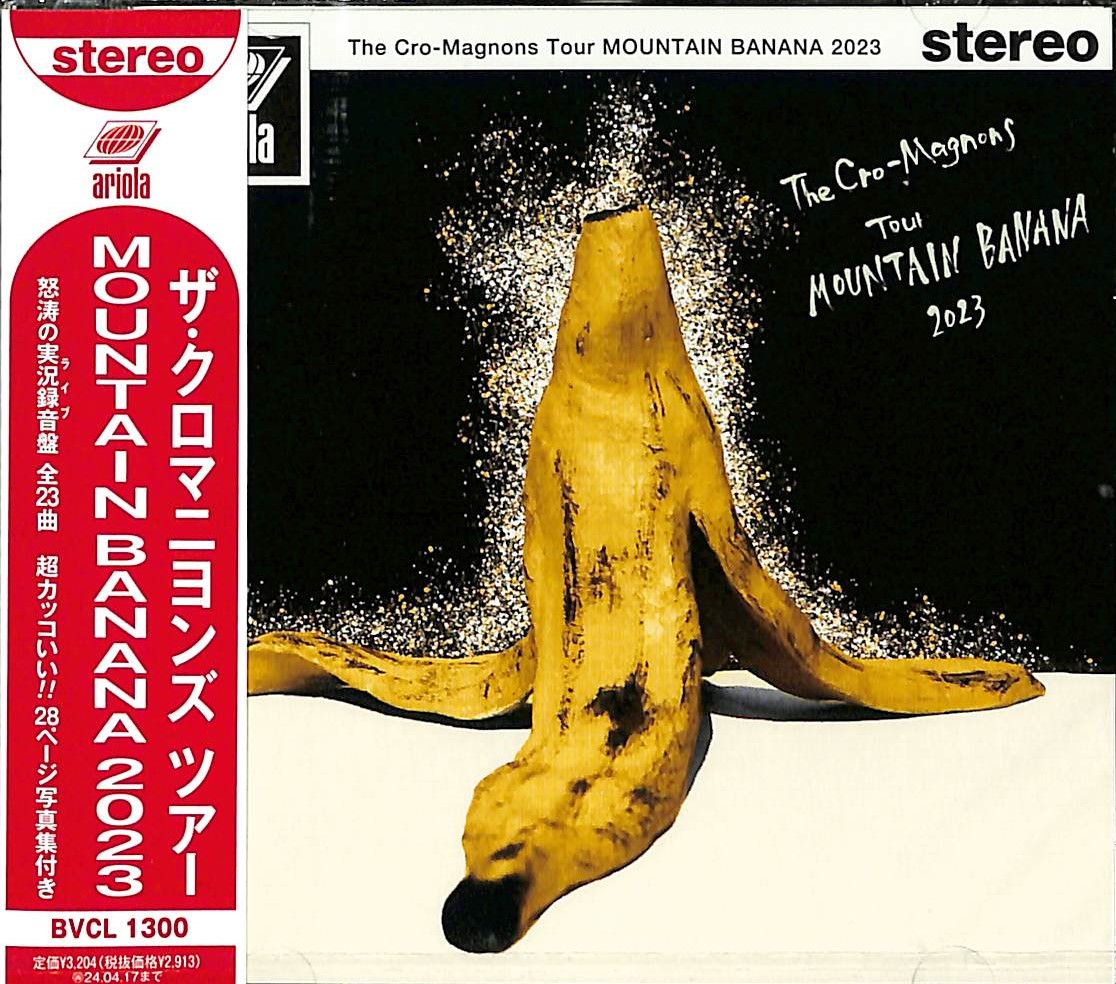 芽瑠璃堂 ＞ クロマニヨンズ 『ザ・クロマニヨンズ ツアー Mountain