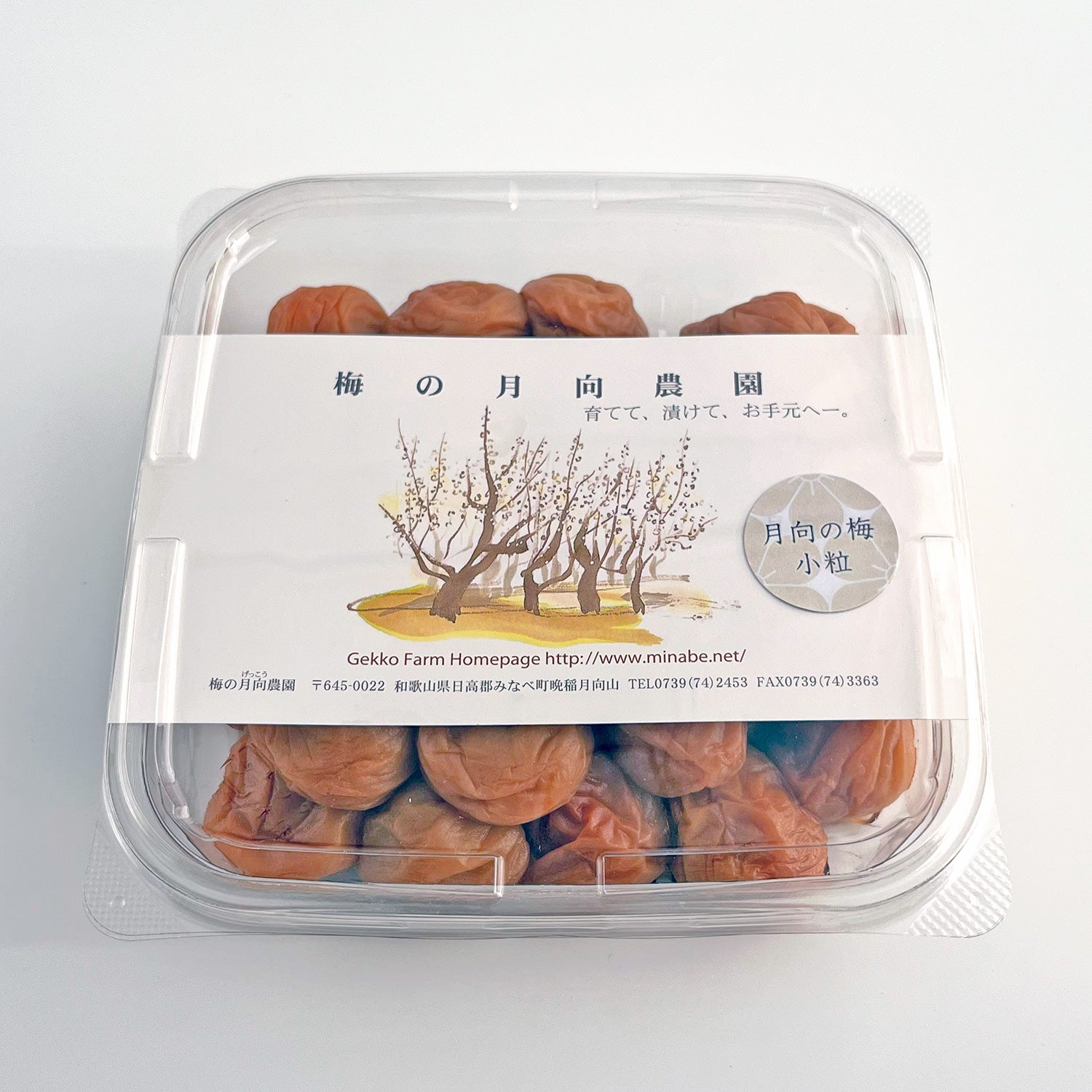 月向の梅500g│梅と暮らす人の梅干し