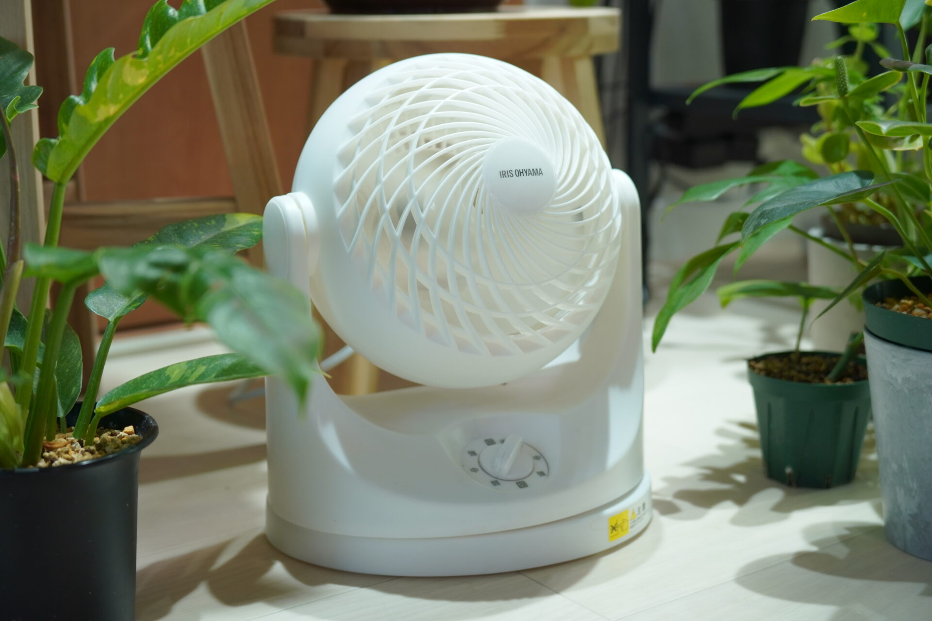 観葉植物】サーキュレーターの使い方｜置き場所は？24時間つけっぱなし
