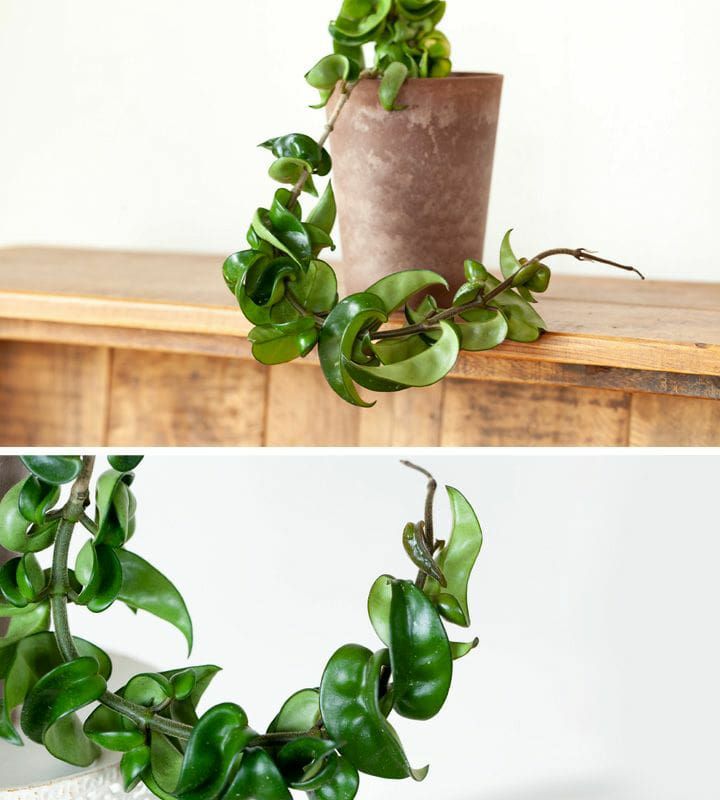 000000004539-03.jpg?size=l&w=