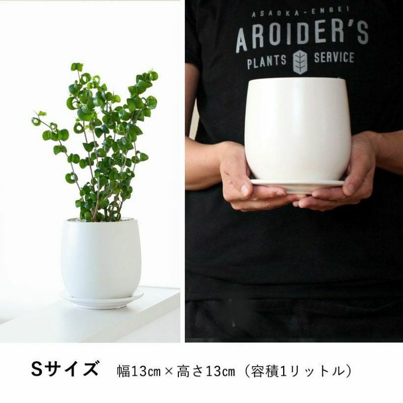 白マット仕上げの植木鉢｜面長形状シンプルなマット仕上げ（受皿付き）