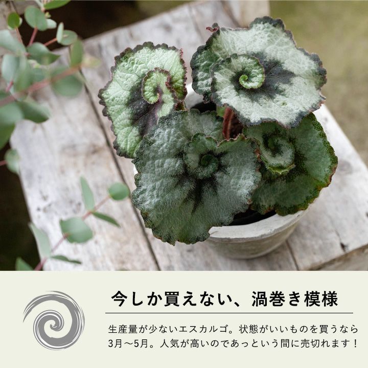 000000002862-02.jpg?size=l&w=