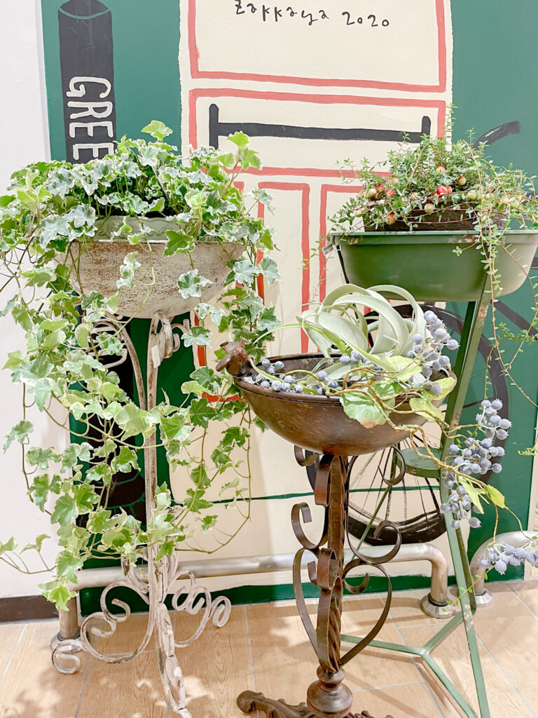 アンティーク調のバードバス〈京都桂川店〉 | みどりの雑貨屋