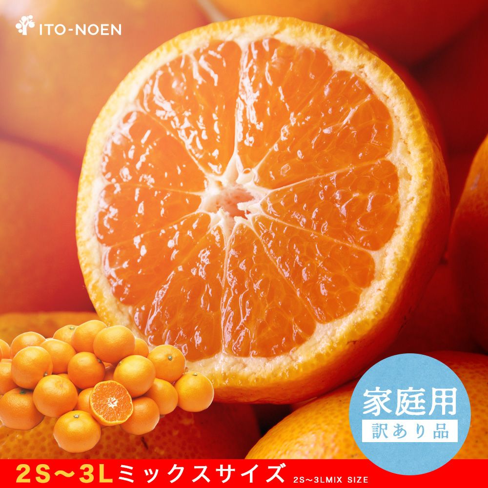 今期最後!?限定50箱】【お届け予定が選べる♪｜お届け予定より発送予定