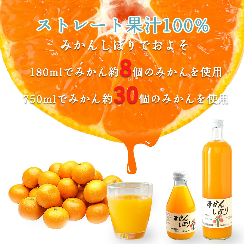 バラエティセットV-064(みかんジュース750ml×2本・180ml×8本