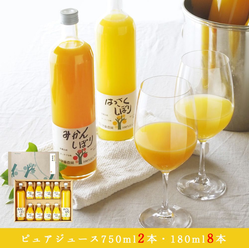 バラエティセットV-064(みかんジュース750ml×2本・180ml×8本