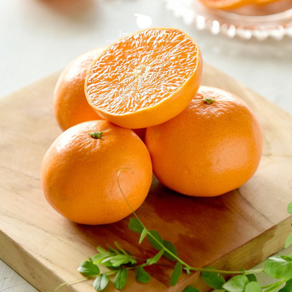 春季限定】せとか 【家庭用(訳あり)】5・10kg | 有田みかん・和歌山県