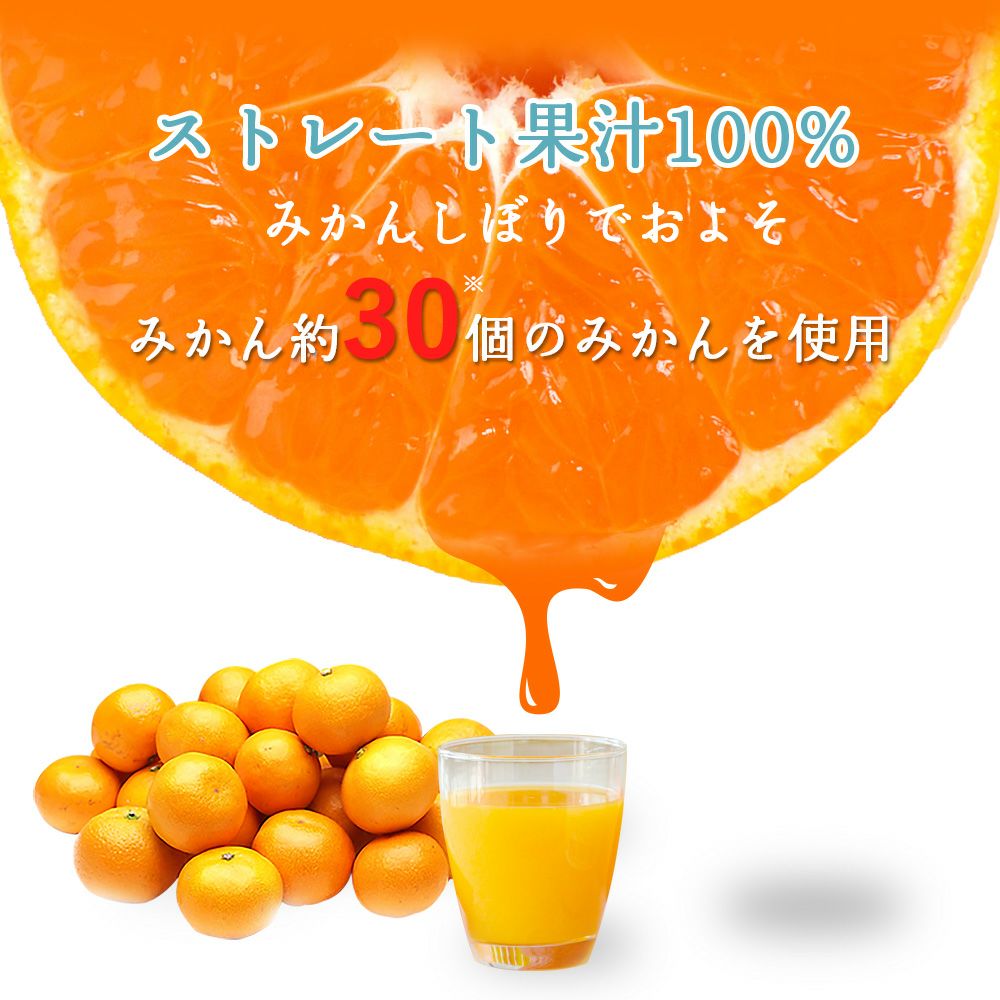 バラエティセット V-016 (みかんジュース バラエティセット) | 有田