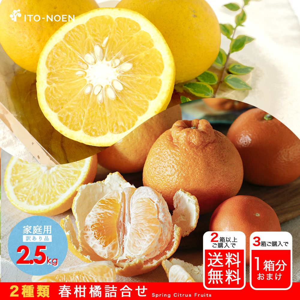 長崎とっとってmotto】春柑橘お楽しみ箱(八朔・不知火)【家庭用(訳あり