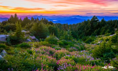 Three Sisters Wilderness, 