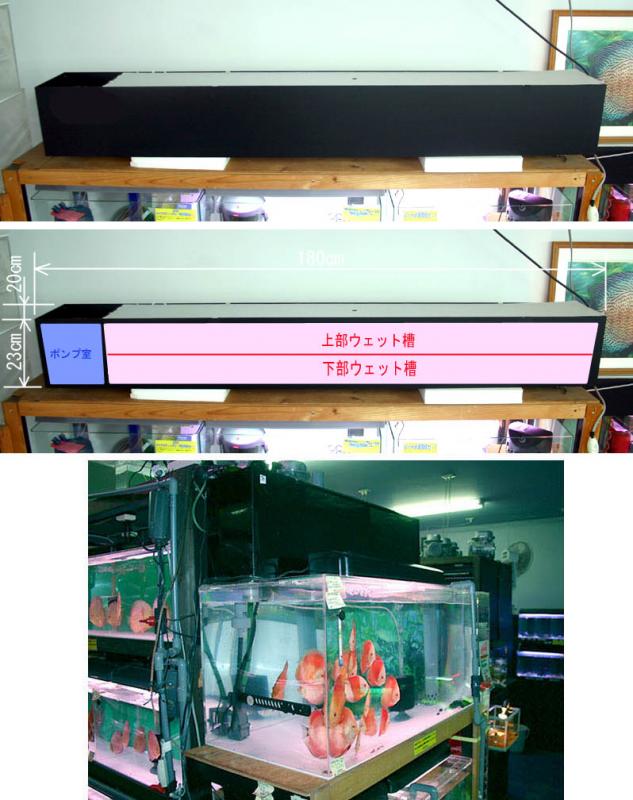 150cm水槽用 オリジナルフルウェット上部フィルター - 熱帯魚のmishima