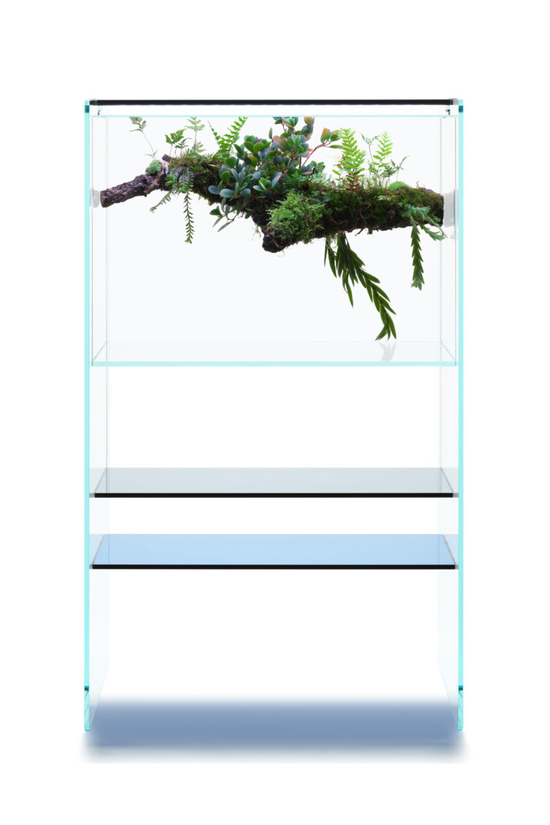 ADA メタルウッドツールスタンド発売のお知らせ - 熱帯魚のmishima