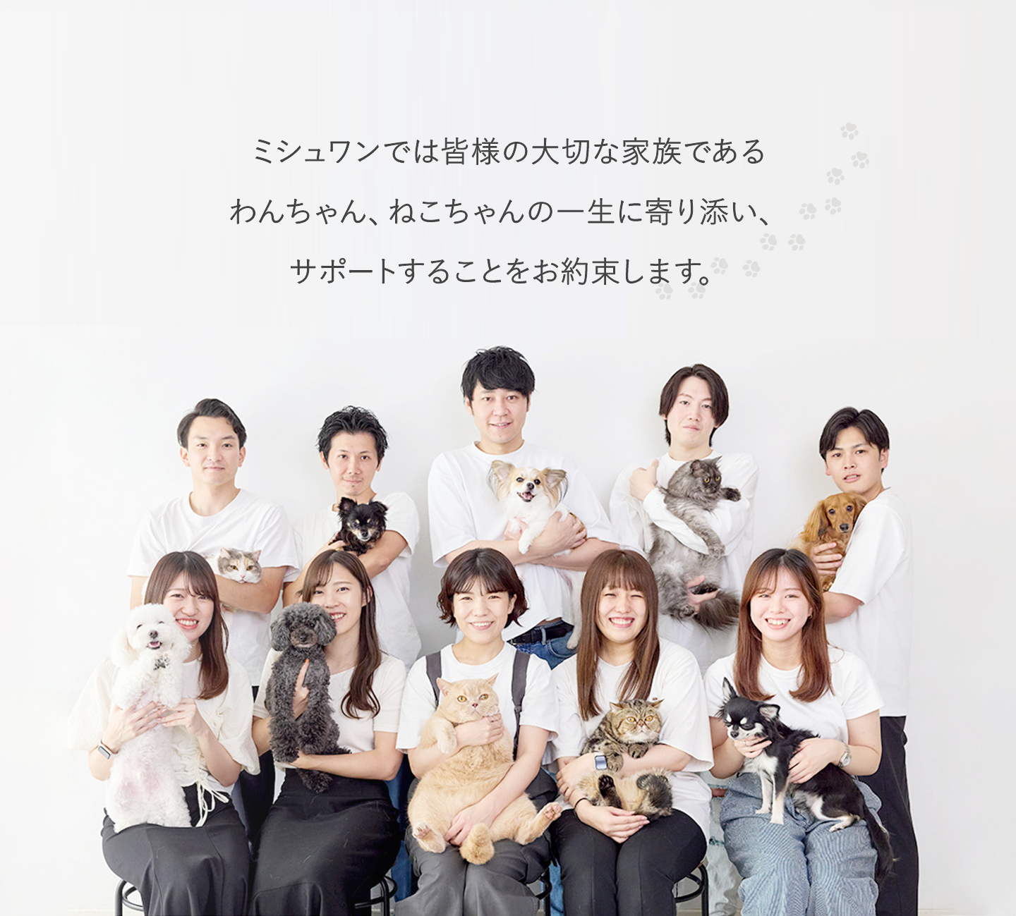 MISHONE - ミシュワン-】公式サイト