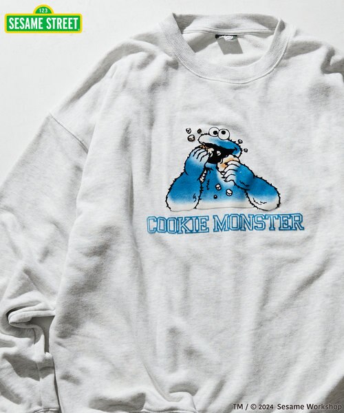 SESAME STREET/セサミストリート クッキーモンスター フロッキー