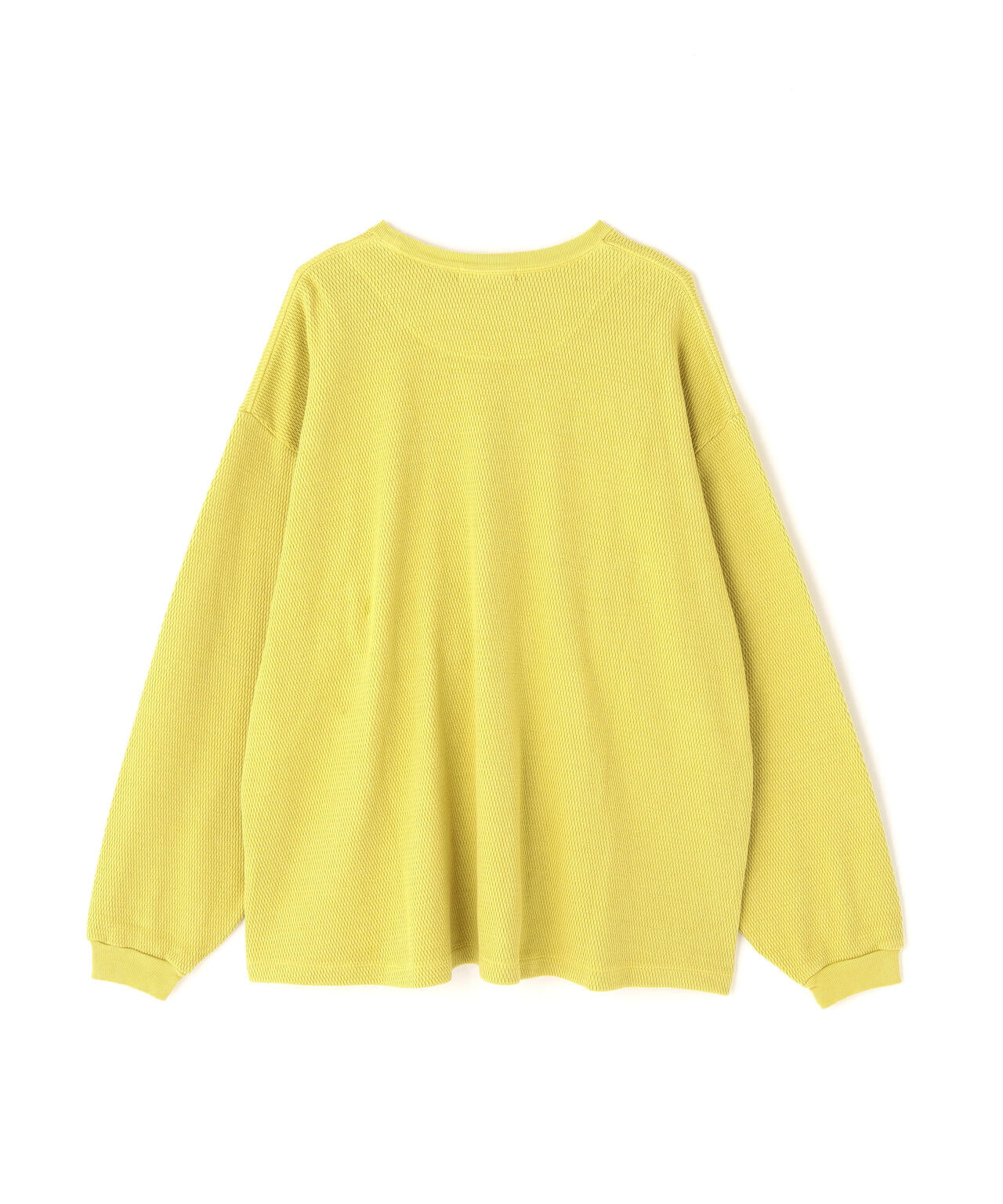 POLYPLOID / OVERSIZE LONGSLEEVE C | THE LIBRARY（ザ ライブラリー