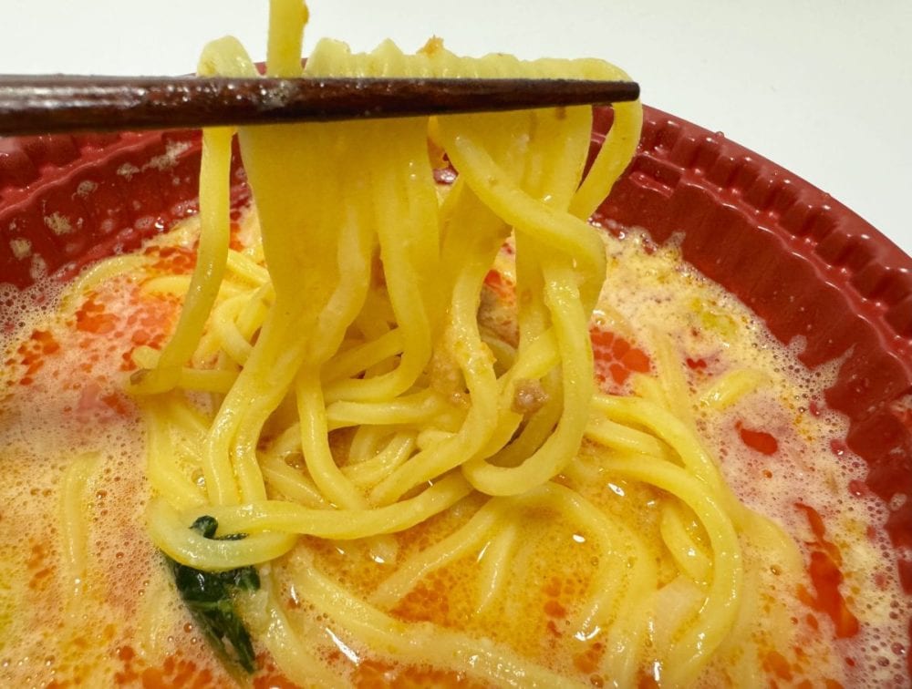 汁なし・汁あり両方作れるの!?」強気な商品名のニチレイ冷凍麺“本当に