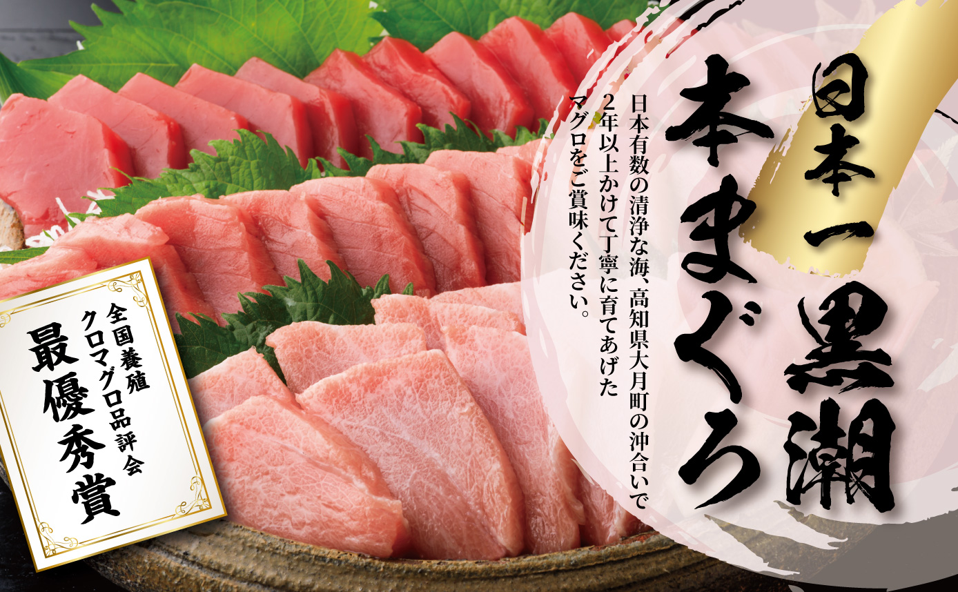 簡易包装割引※【高知県大月町産】黒潮本まぐろ 中トロ500g｜高知産品