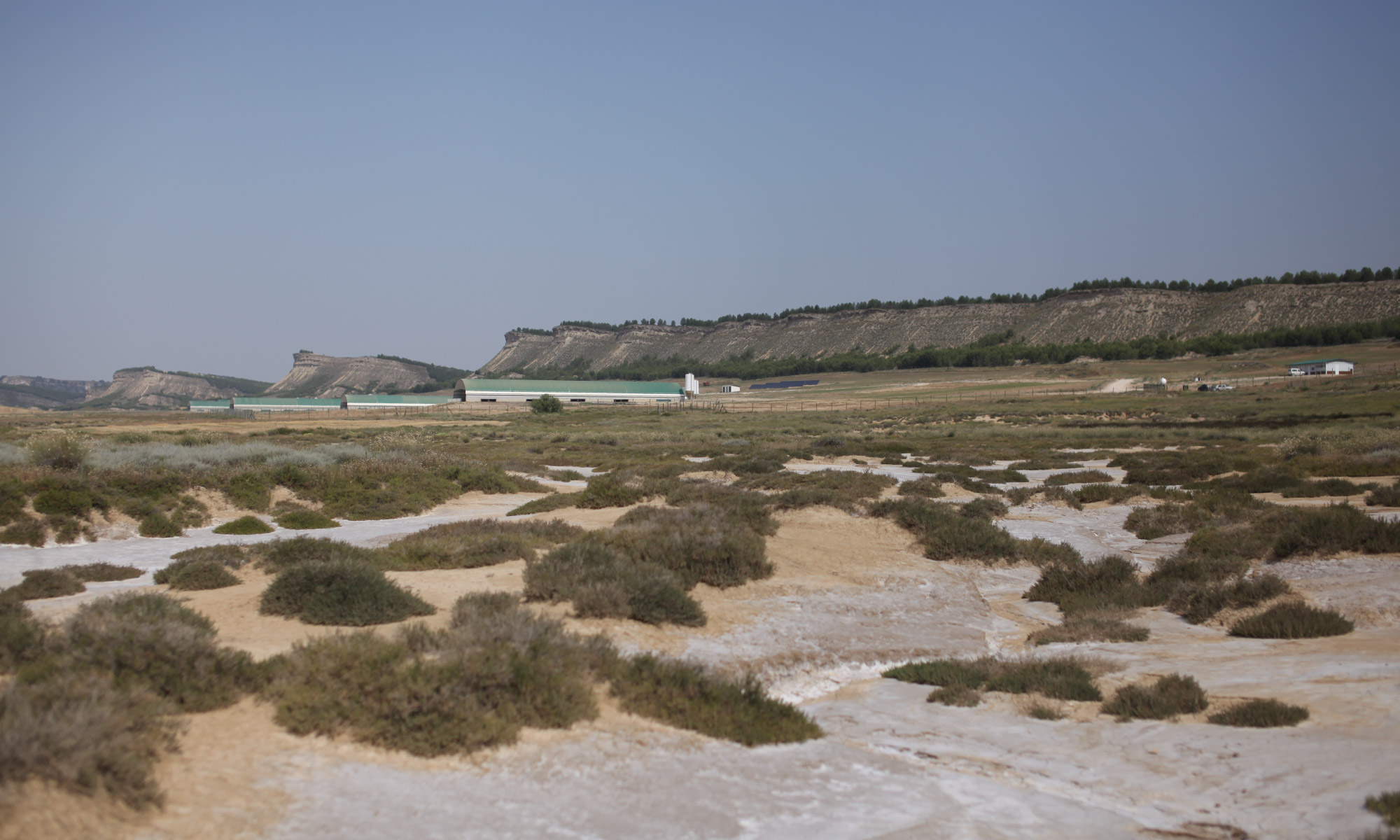 SPANISH DOWN - NANGA | ナンガ