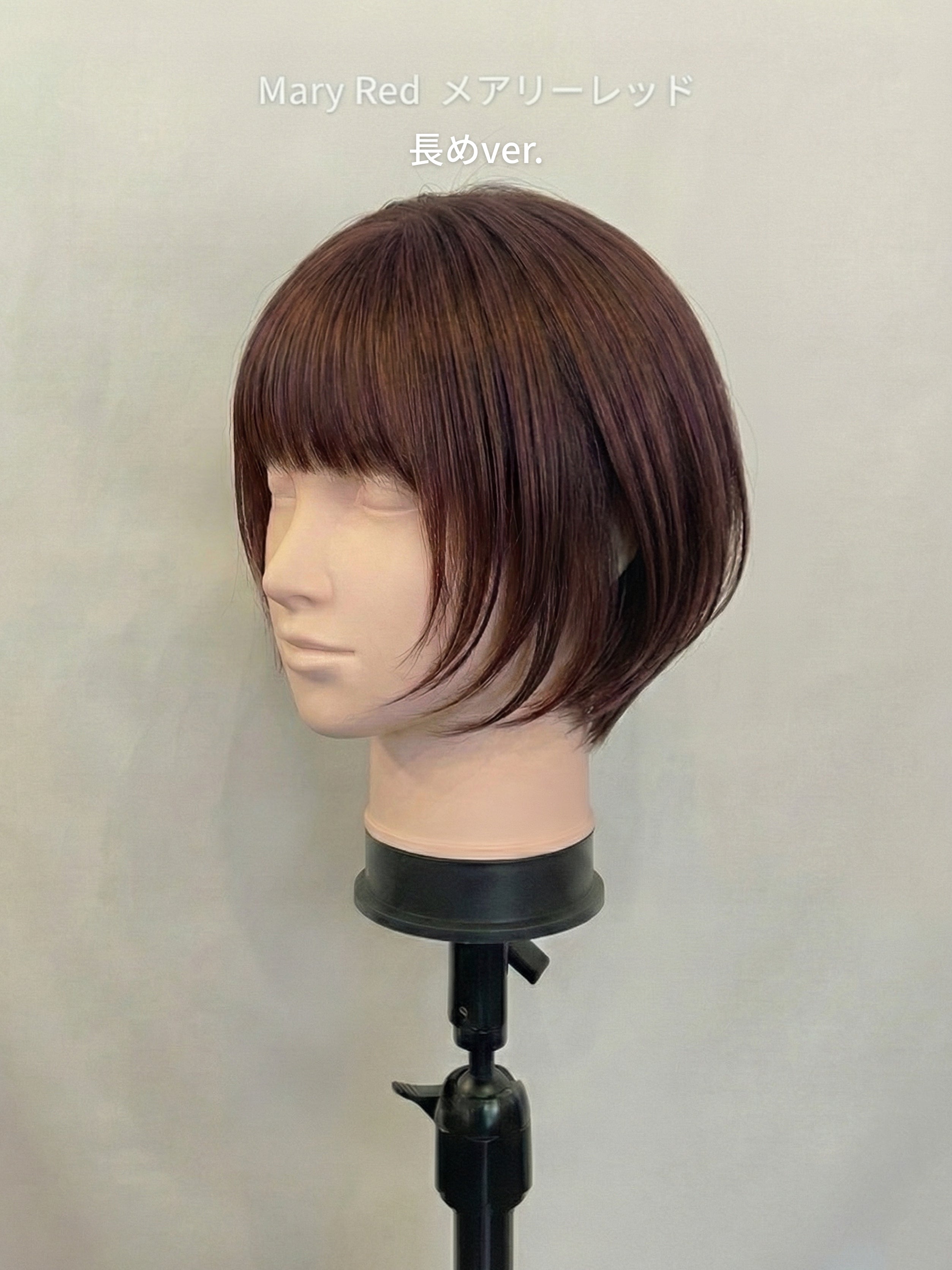 ポールマッシュレイヤー/ウィッグ/ショートレイヤー