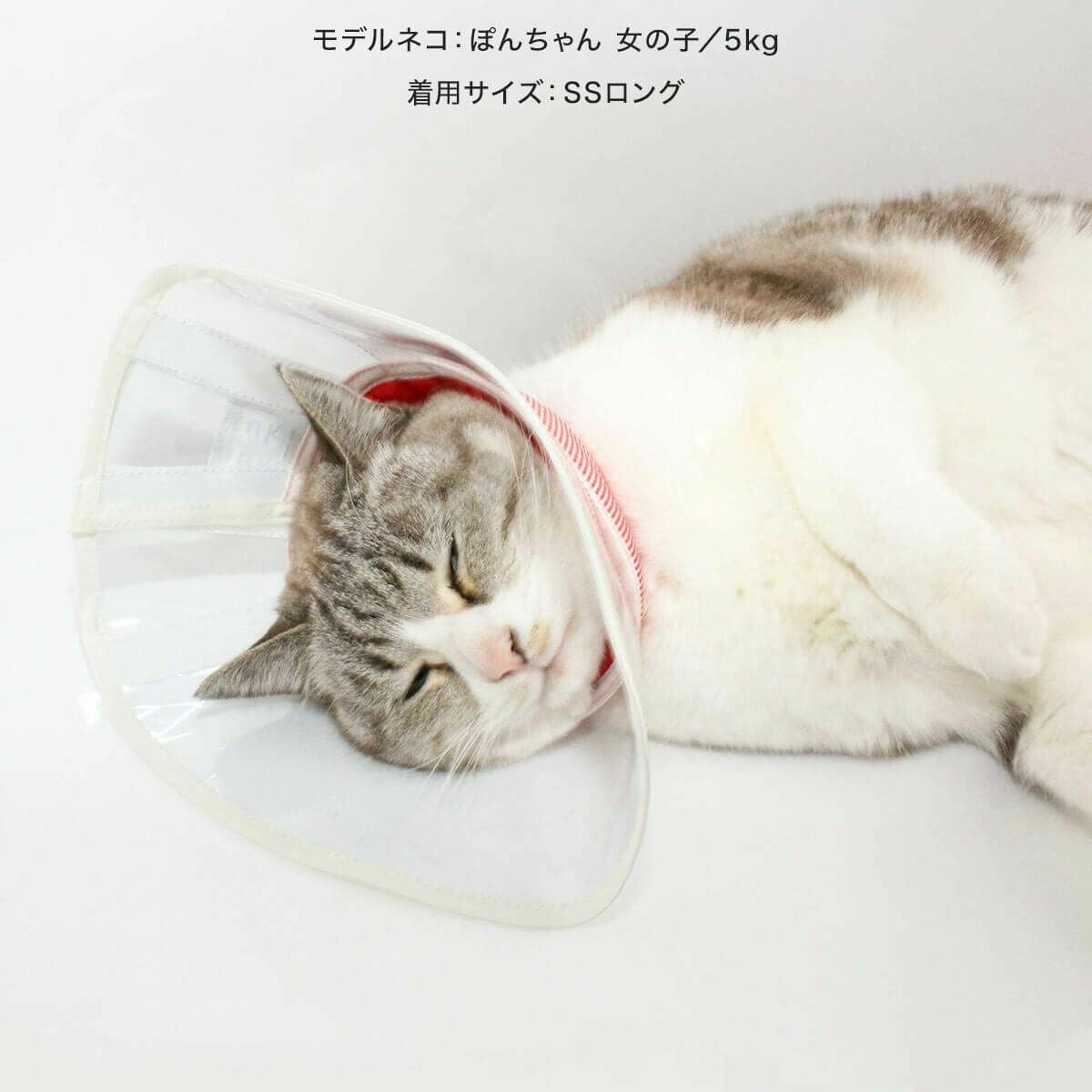 テレビで紹介】獣医おすすめ ストレスフリーな猫エリザベスカラー