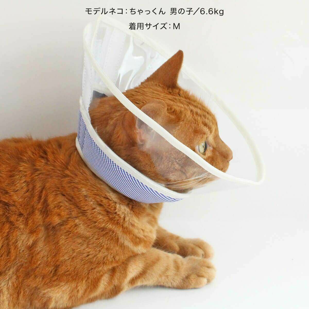 テレビで紹介】獣医おすすめ ストレスフリーな猫エリザベスカラー