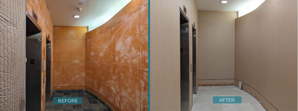 ZX162 Oak Interior Film - Rich Wood Collection ⋆ Nelcos